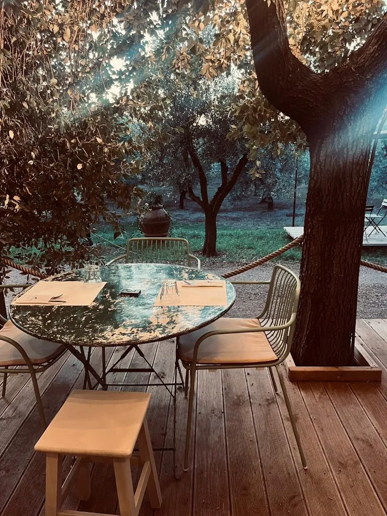 Tenuta Merlò_Castagneto Carducci_slider_image_2