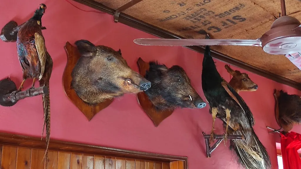 Menu_Ristorante Il Castagno da Nichi_Castagneto Carducci_image_7