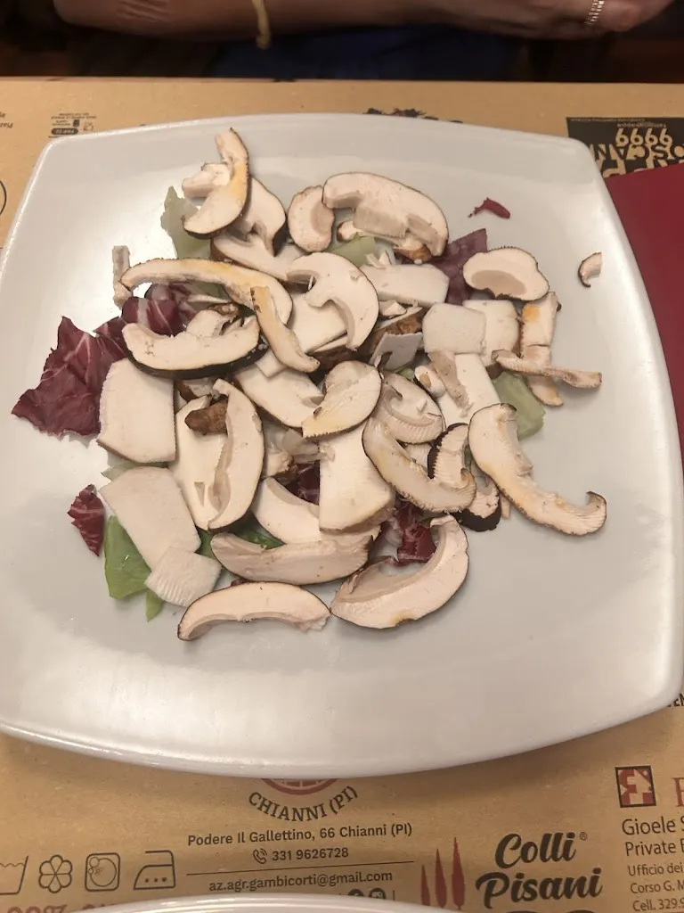 Ibizamurphys_La Bottega di Papacqua_Castellina Marittima_review