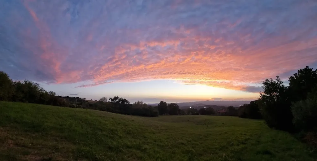 Ristorante @ Il Poggetto_Castellina Marittima_slider_image_2