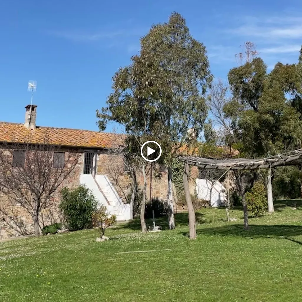 Ristorante Terraforte_Castellina Marittima_slider_image_2