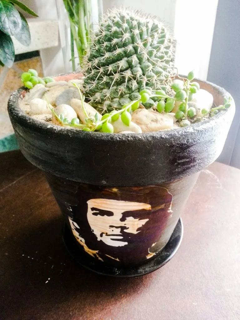 Menu_Bar Pizzeria Circolo ARCI_Castellina Marittima_image_8