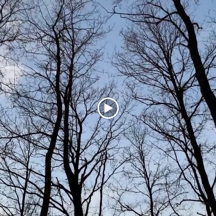 Tenuta Codirosso_Castelnuovo di Val di Cecina_slider_image_2