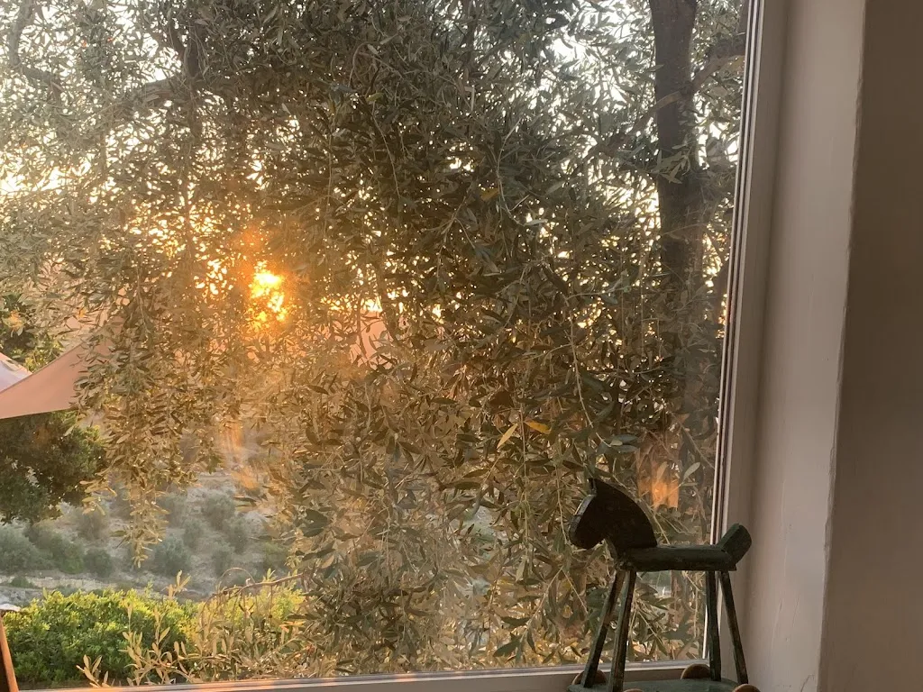 Daniel Hamelin_Lo Jalant_Mattinata_review