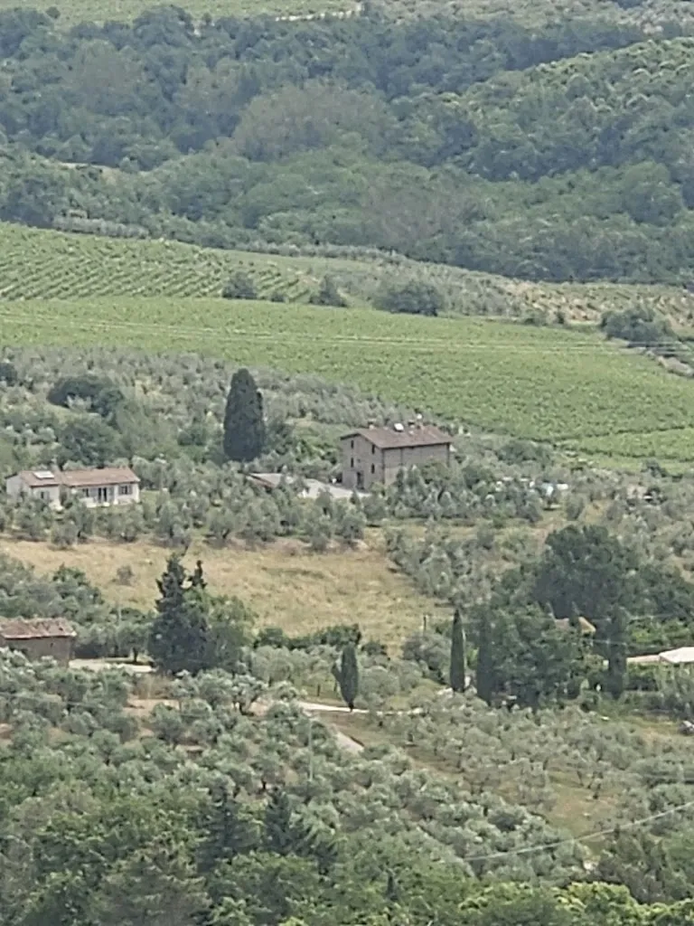 OCTOPUS INK TATTOO_Ristorante La Cucina de La Forra_Castelnuovo dei Sabbioni_review