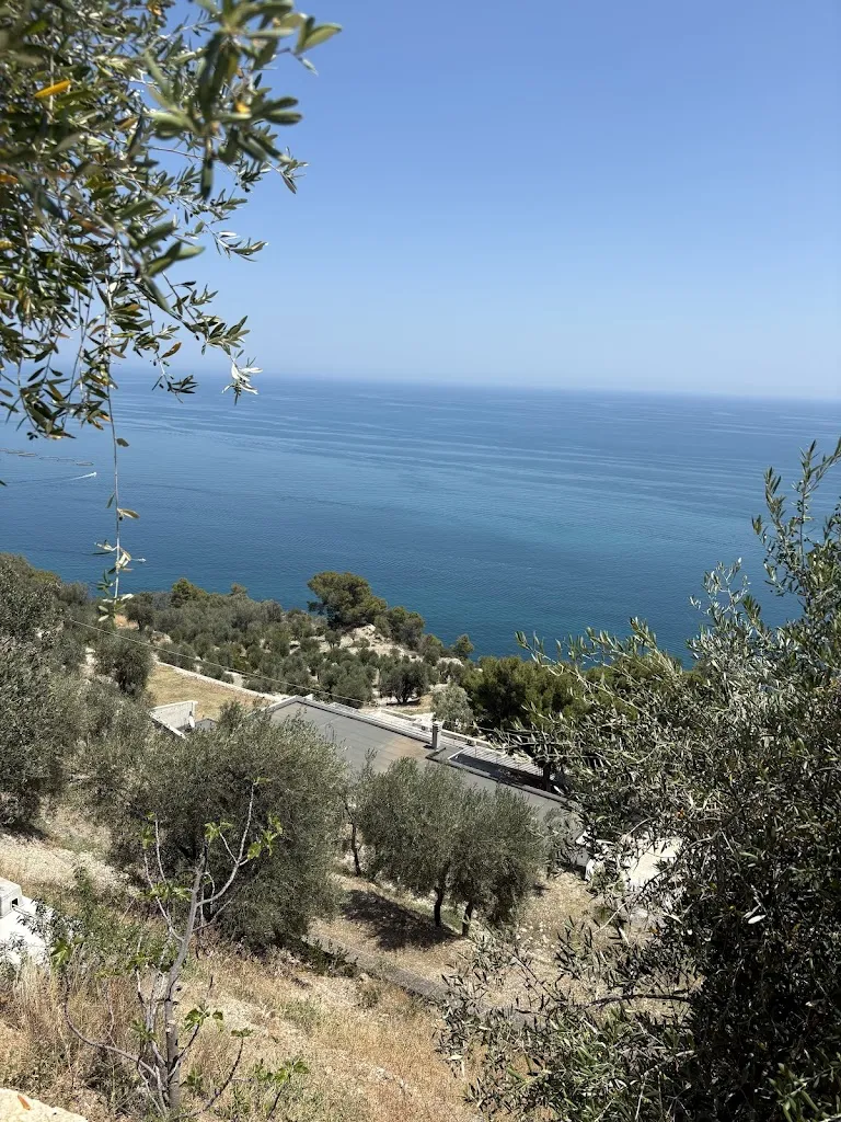 francesco scopece_Trattoria Pane e Pomodoro Mattinata_Mattinata_review