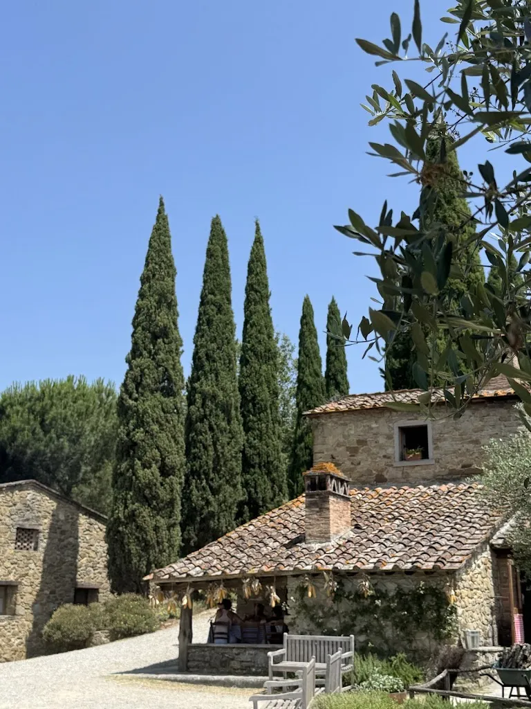 Maximilian Gönczi_Fattoria La Vialla_Castiglion Fibocchi_review