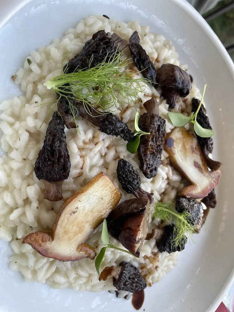 Mark Short_Ristorante Contrasti - L'alberghetto Le Dimore di Contrasti_Castiglione d'Orcia_review