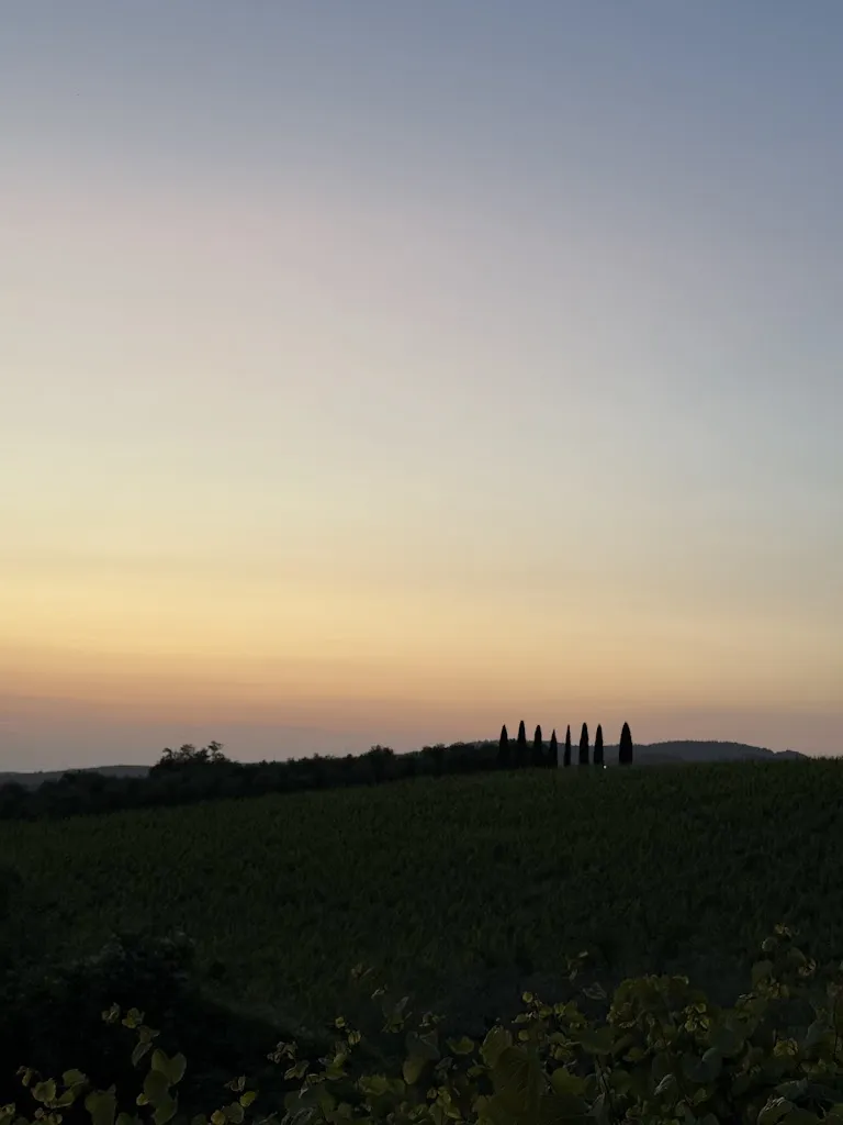 Faisal Albanna_Ristorante Enoteca della Fornace_Castelnuovo Berardenga_review