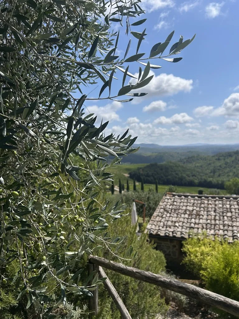 Colette Sims_Dievole Wine Resort_Castelnuovo Berardenga_recensione