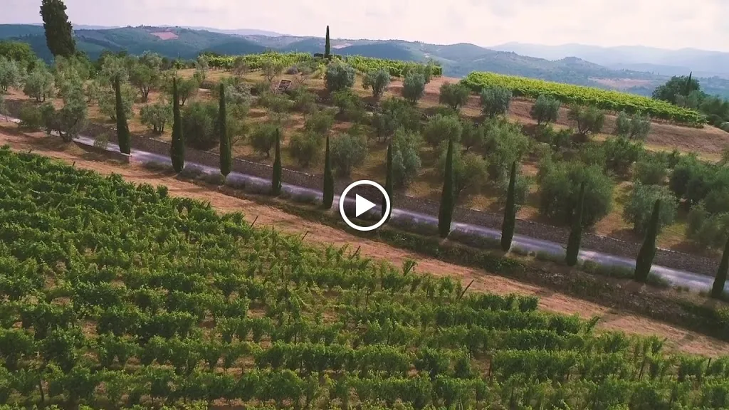 Dievole Wine Resort_Castelnuovo Berardenga_slider_image_2