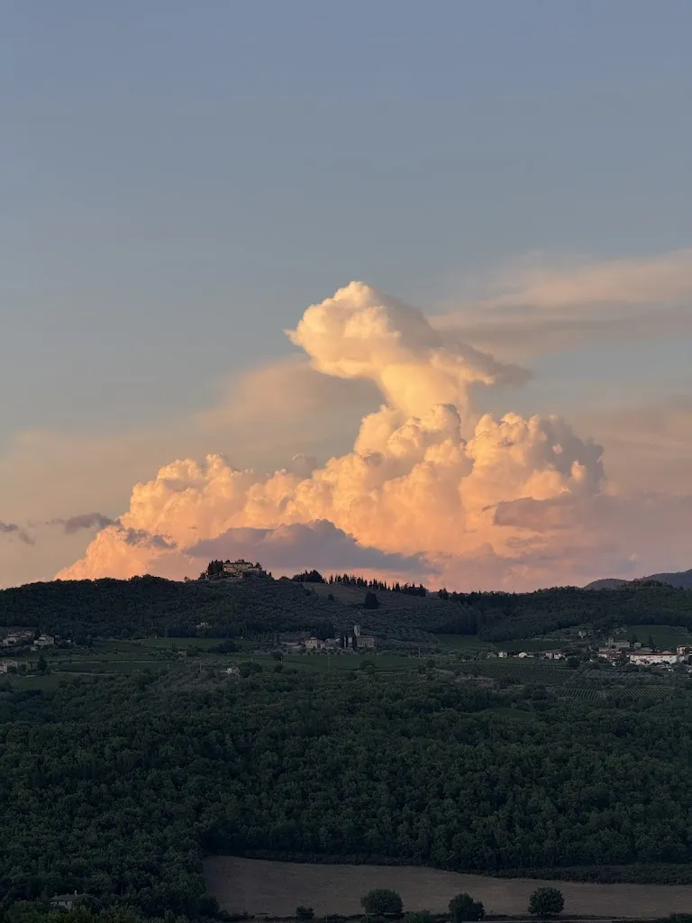 Nick Lynch_Hotel Le Fontanelle_Castelnuovo Berardenga_review