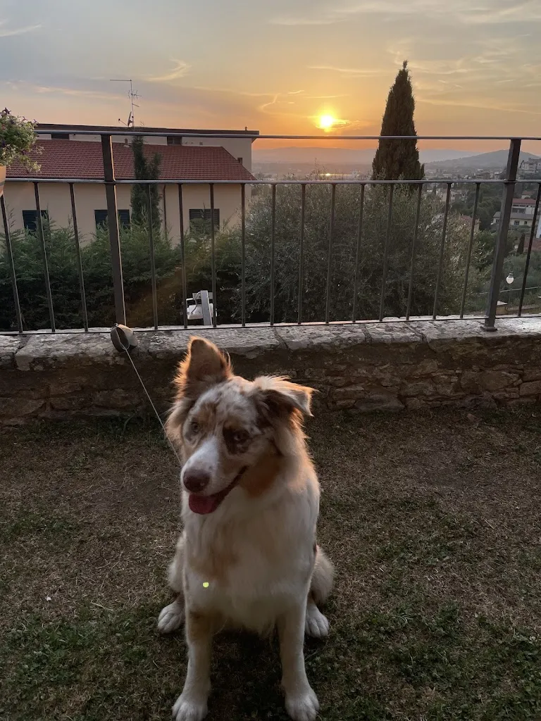 Julien Ferrière_Ristorante La Piana_Castiglion Fiorentino_review