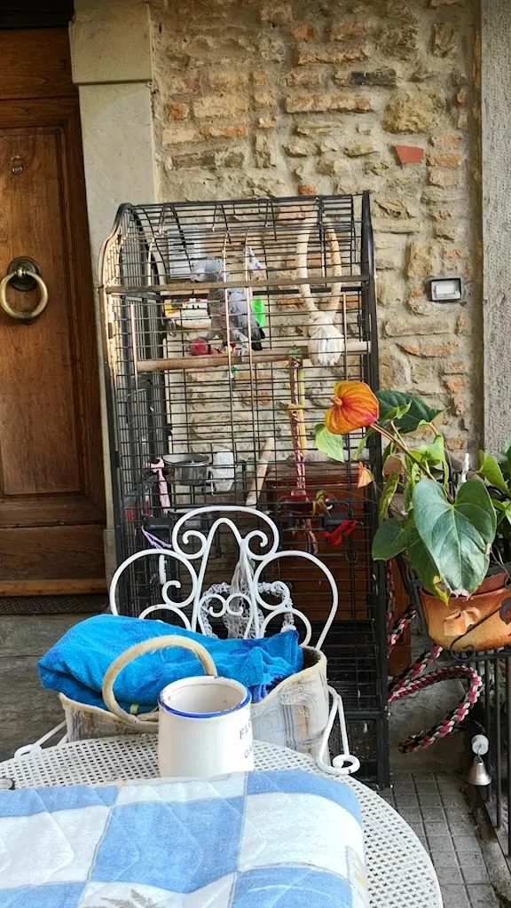 Ristorantino ai 5 Tavoli - Borgo Dolci Colline_Castiglion Fiorentino_slider_image_2