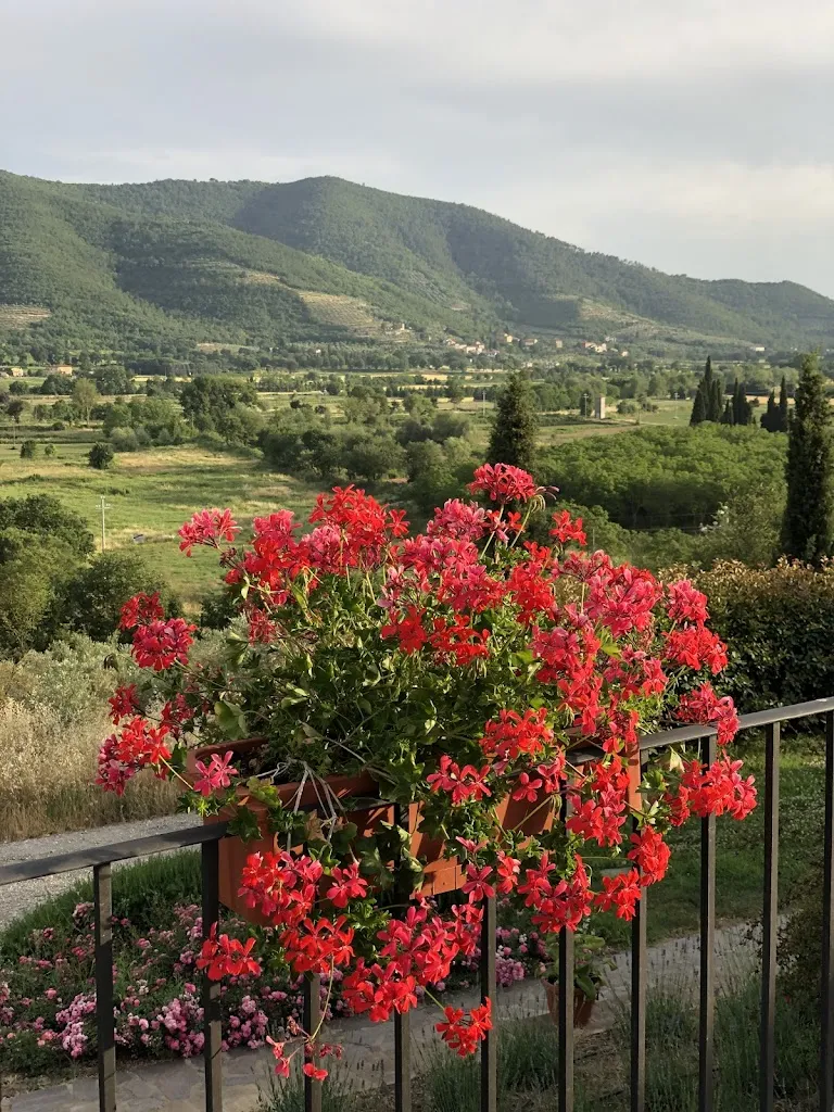 Bin Coden_La Terrazza Sulla Valle Stephen_Castiglion Fiorentino_review