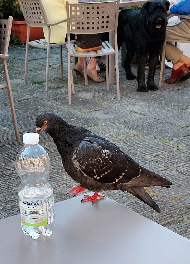 Anna Coda_Antico Caffè Tognini_Castelnuovo di Garfagnana_review