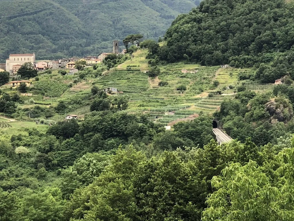 gojuryu512_Il Grotto di Salotti - Ristorante - Pizzeria - Hotel - Bar Alimentari_Castelnuovo di Garfagnana_review