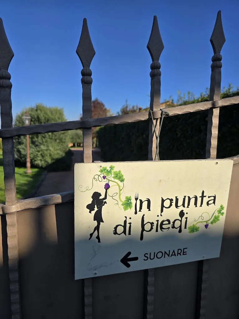 Anastasia - Анастасия_In Punta di Piedi_Cenaia_review