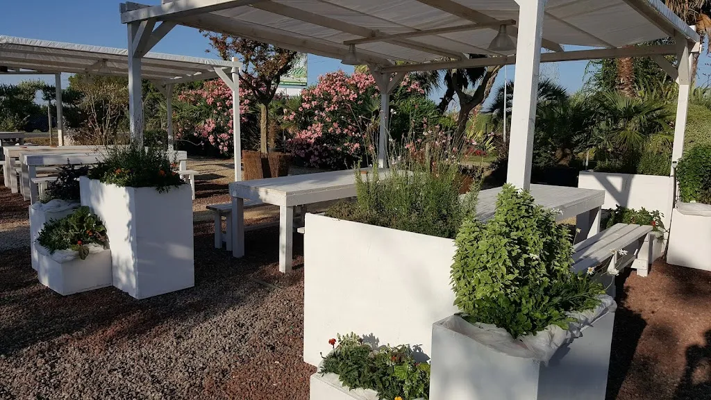 Ristoro Agricolo restaurant in Cenaia