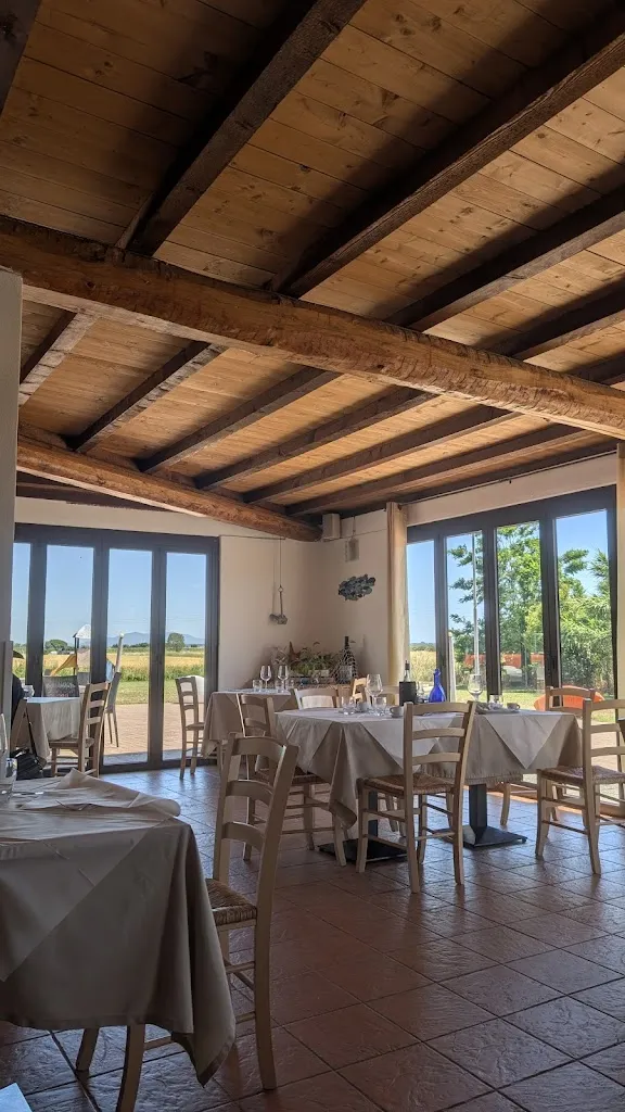 Veronica Orlando_Fattoria del Pescatore_Castiglione della Pescaia_review