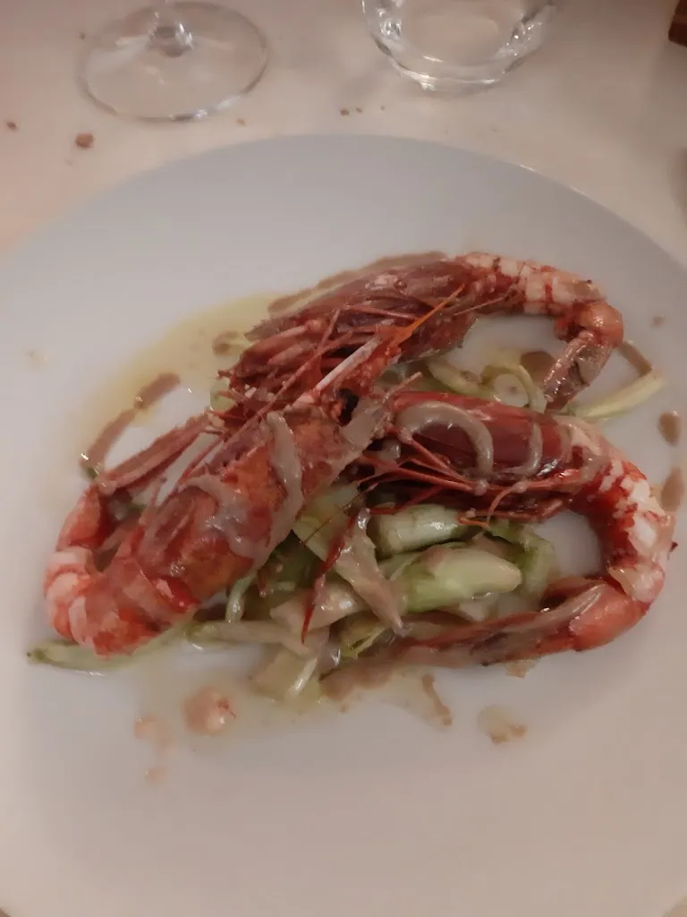 liana angiolini_Cecina_Cecina_review