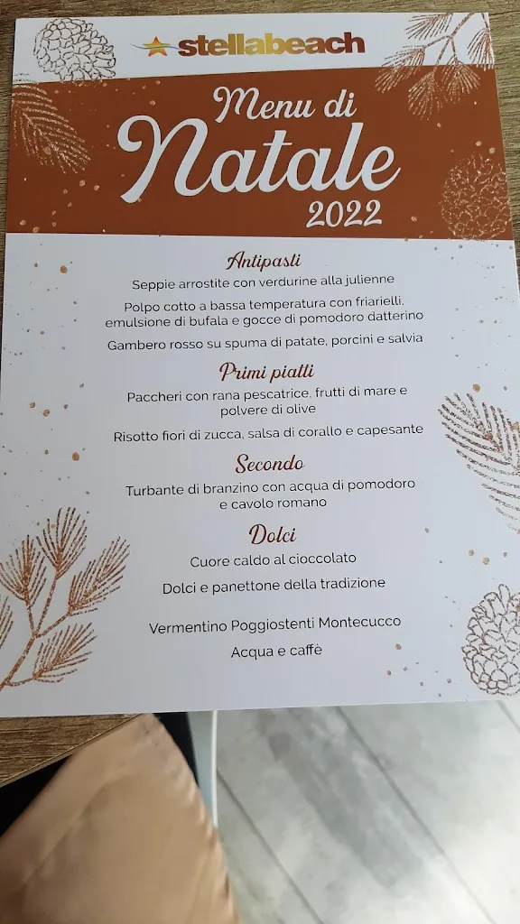 Menu_Stella Beach_Cecina_image_4