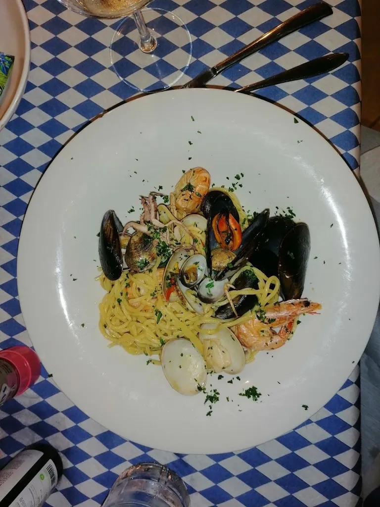 roland dimai_Olimpia_Cecina_review