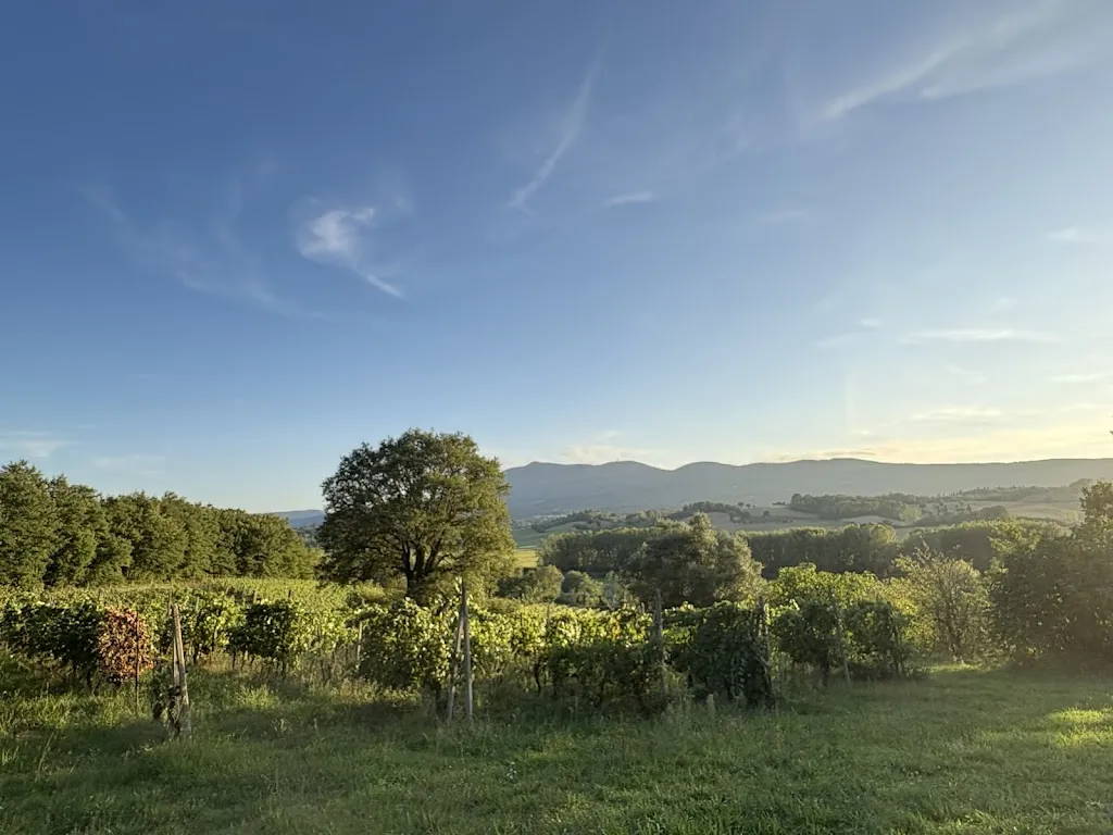 Chiara Brambini_Ristorante Il Pornelleto_Cetona_review