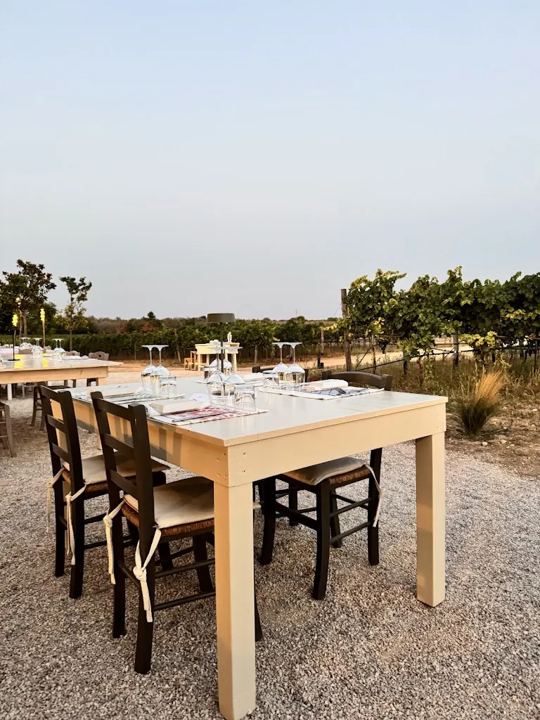 Vini Menhir Salento S.R.L._Minervino di Lecce_slider_image_3