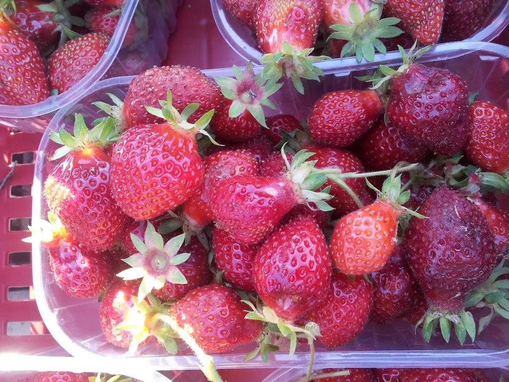 Agriosteria Astrone_Cetona_slider_image_1