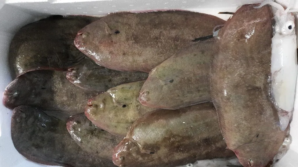 Menu_La Taverna dei Miracoli da Mangiafuoco_Chiesino-Collodi_image_7