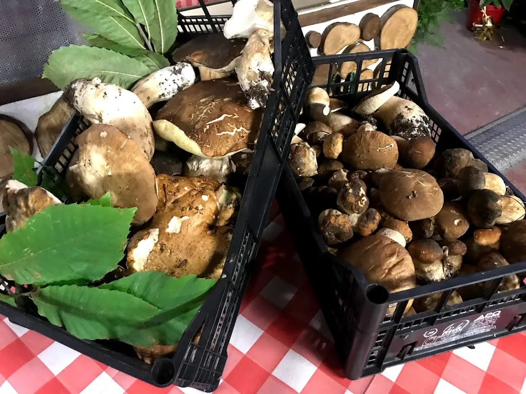 La Taverna dei Miracoli da Mangiafuoco_Chiesino-Collodi_slider_image_3