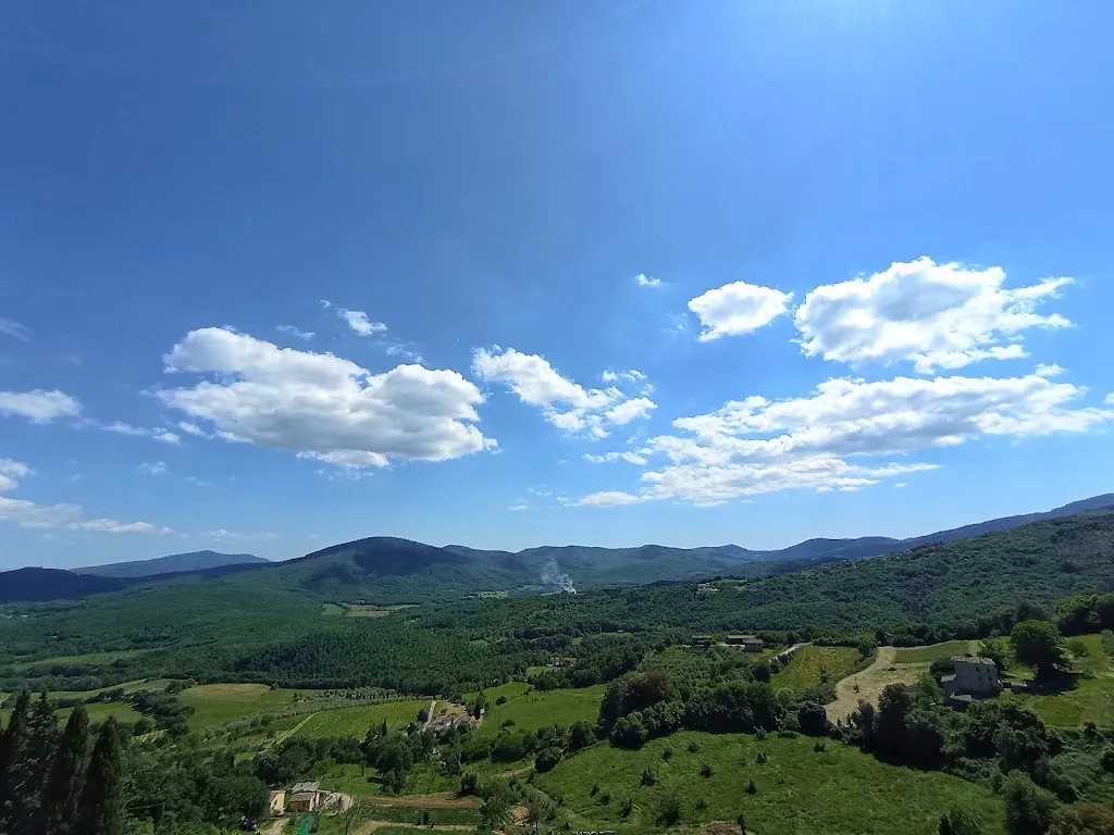 Bar Pizzeria Trattoria Bellavista_Chiusdino_slider_image_3