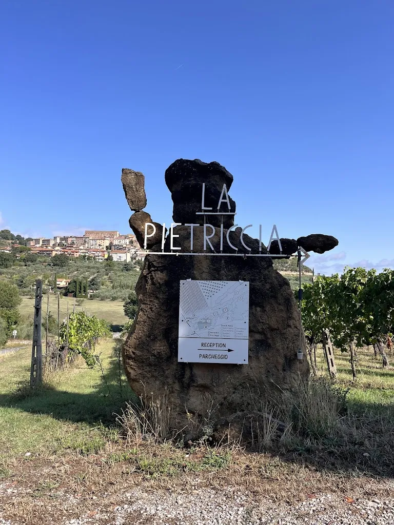 sima emani_Agriturismo La Pietriccia_Chianciano Terme_review