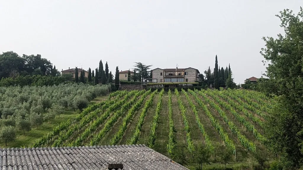 Russell White_Agriturismo La Pietriccia_Chianciano Terme_review