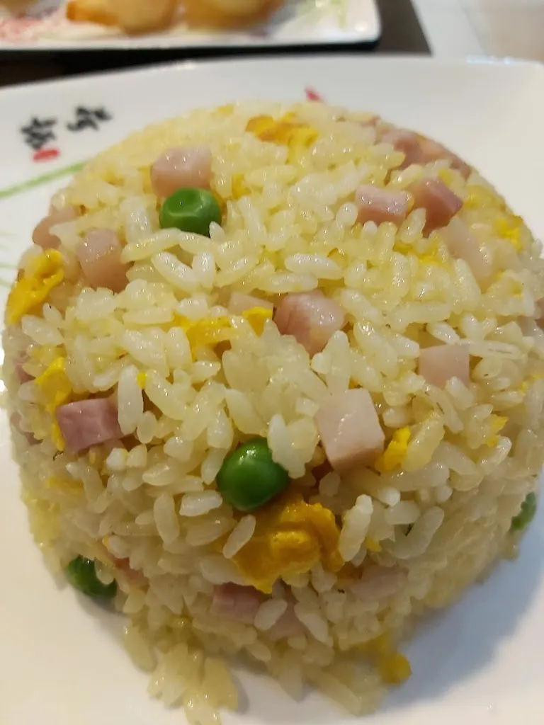 Edwin Reyes_Ristorante Cinese Giapponese Hasu_Chianciano Terme_review