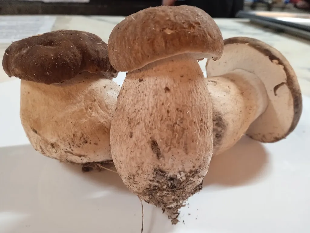 Menu_Ristorante Il Trenino_Chiesina Uzzanese_image_3