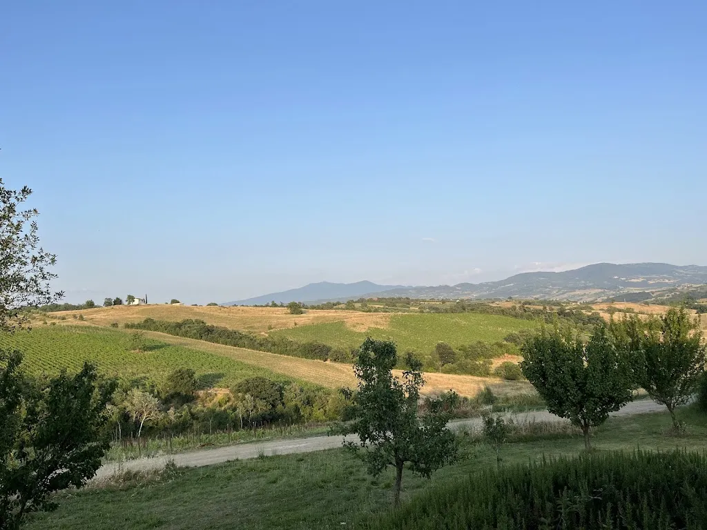 Marcus Friedemann_Ristorante Tenuta Pianirossi_Cinigiano_recensione