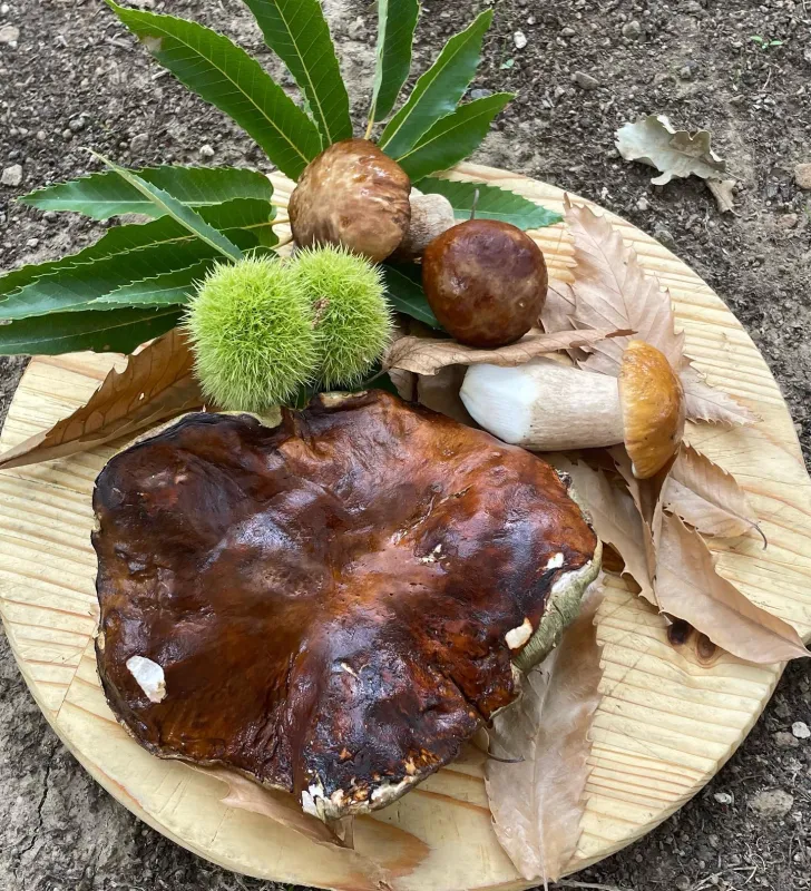 Ristorante Il Lucherino_Cinigiano_slider_image_2