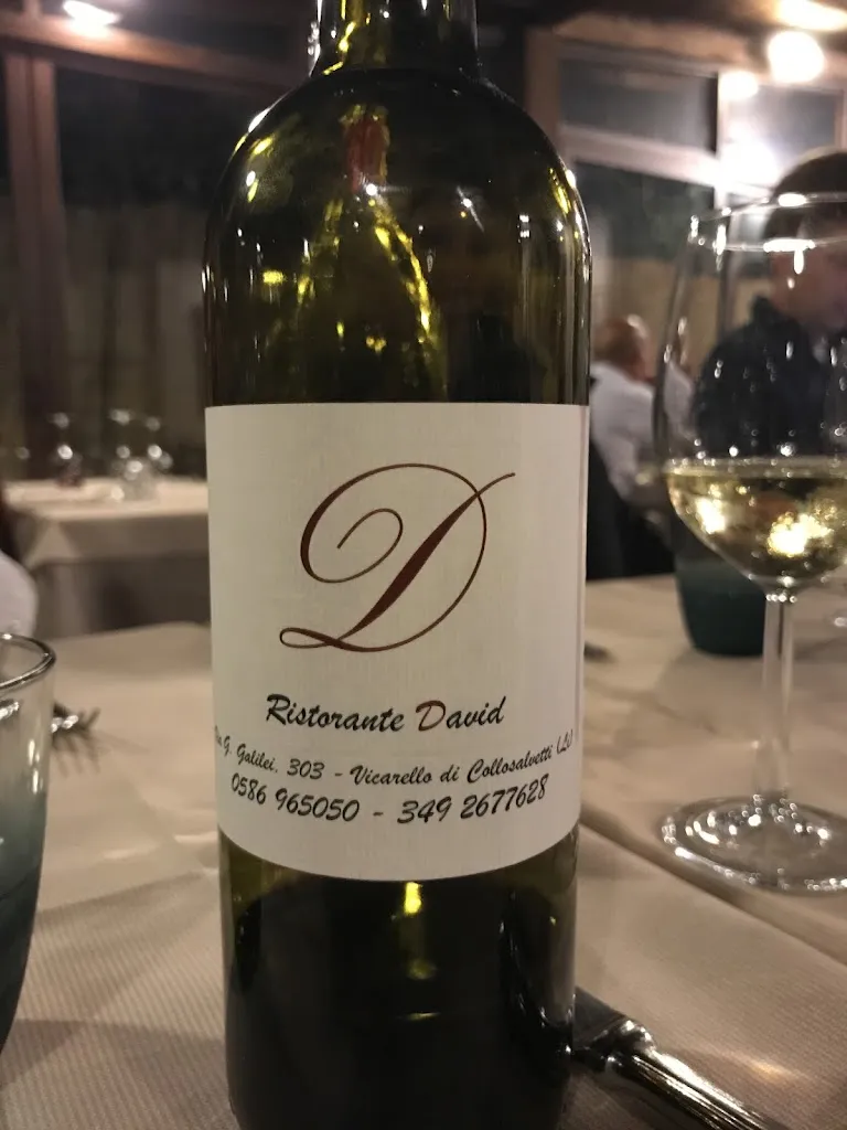 Michael Deo_Ristorante David_Collesalvetti_review