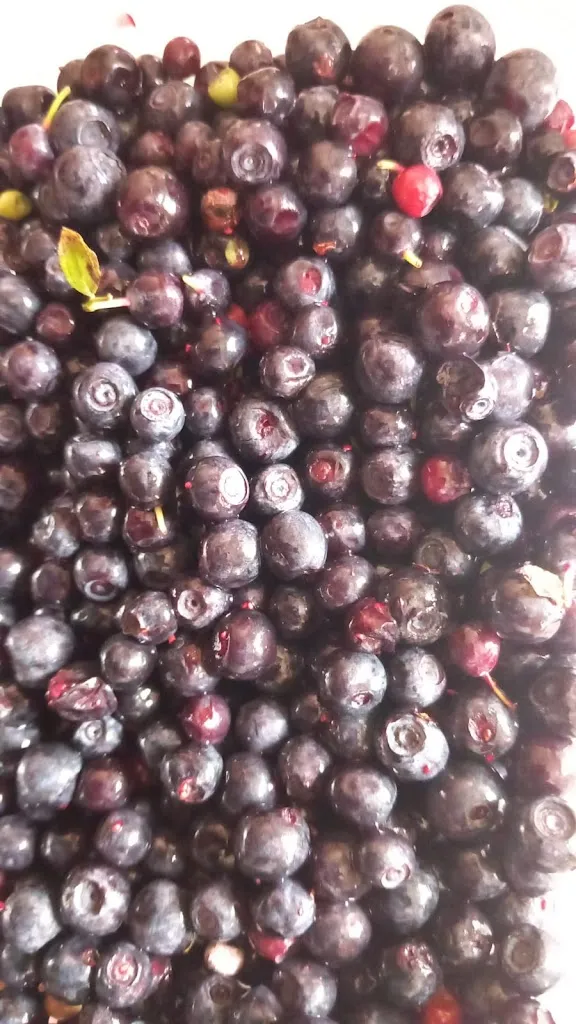 Menu_Da Beppe di Simone Micheli_Coreglia Antelminelli_image_6