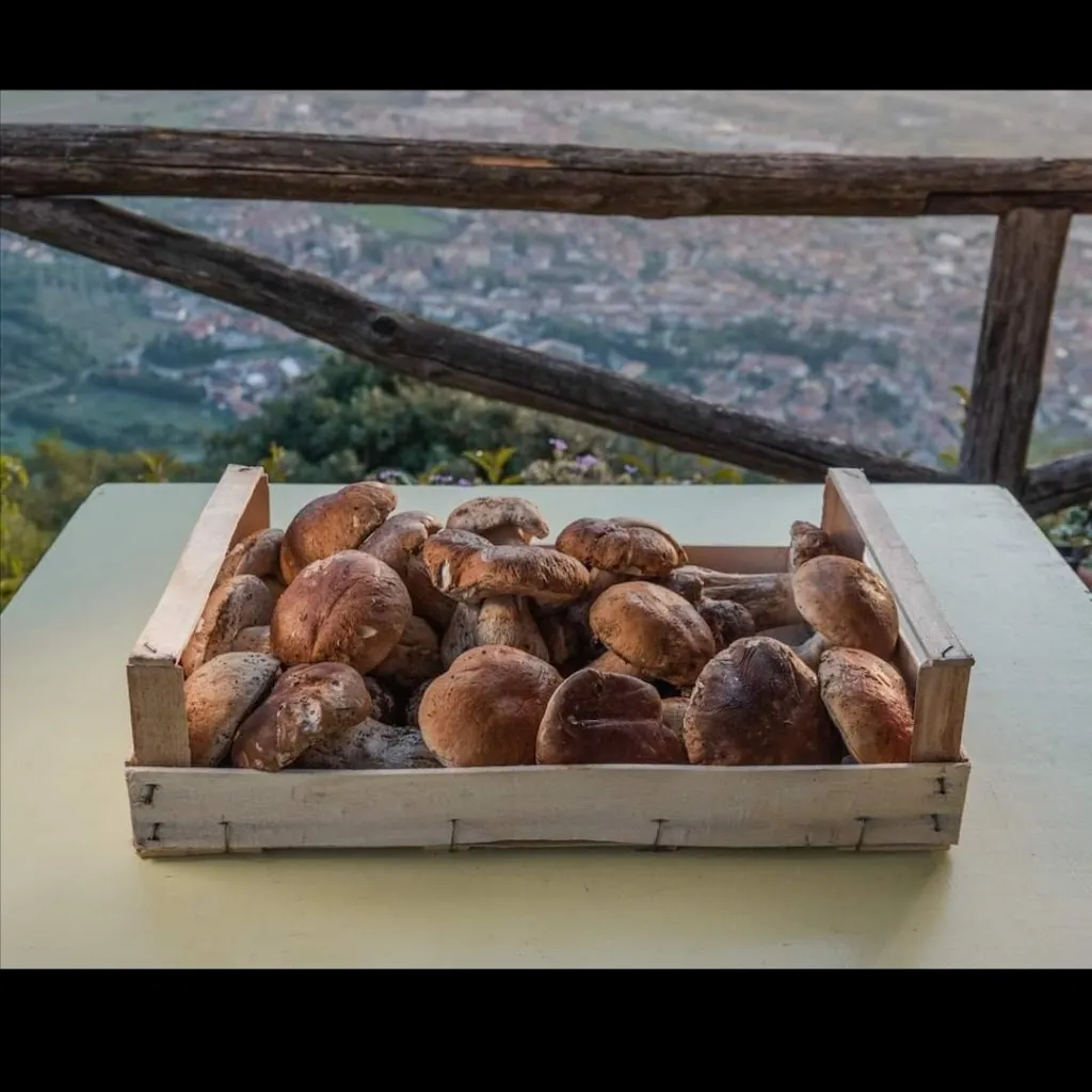 Menu_La Foresteria Monsummano Alto_Cintolese_immagine_8