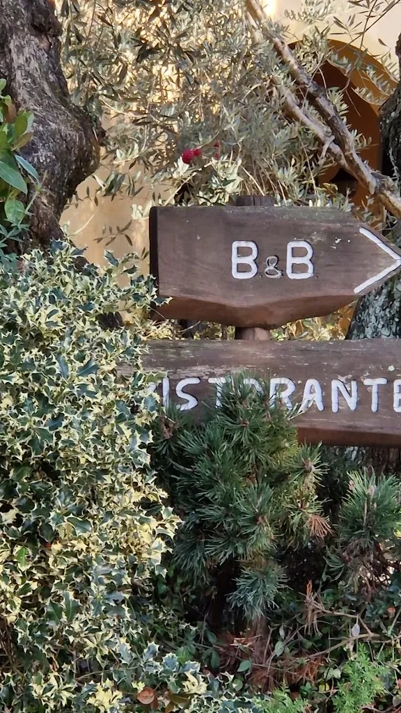 Poggio degli Olivi - Ristorante Zi' Tosca_Cintolese_slider_image_2