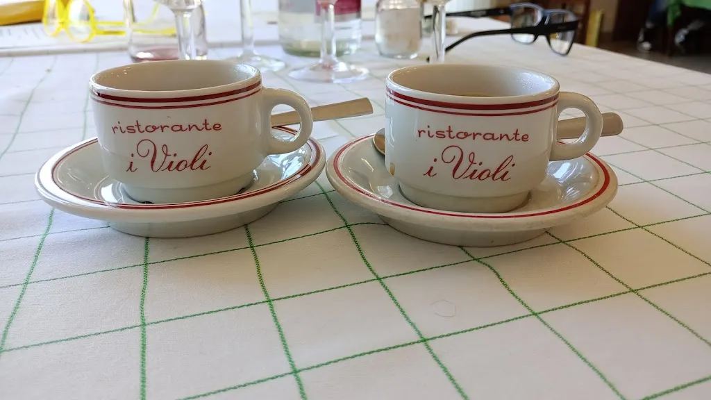 Salvo Montalbano_I Violi_Cintolese_review