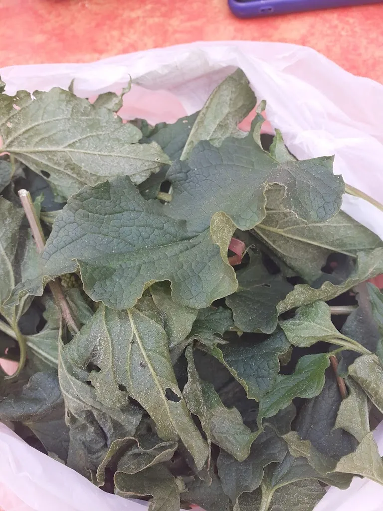 Menu_Rifugio La Grande Baita c/o Funivia Doganaccia_Cutigliano_image_8