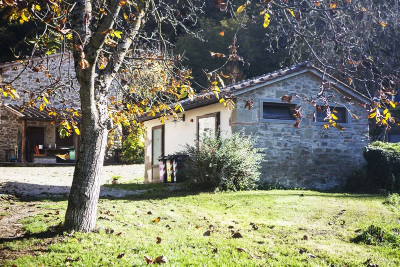 Agricola Pignano S.S._Dicomano_slider_image_1