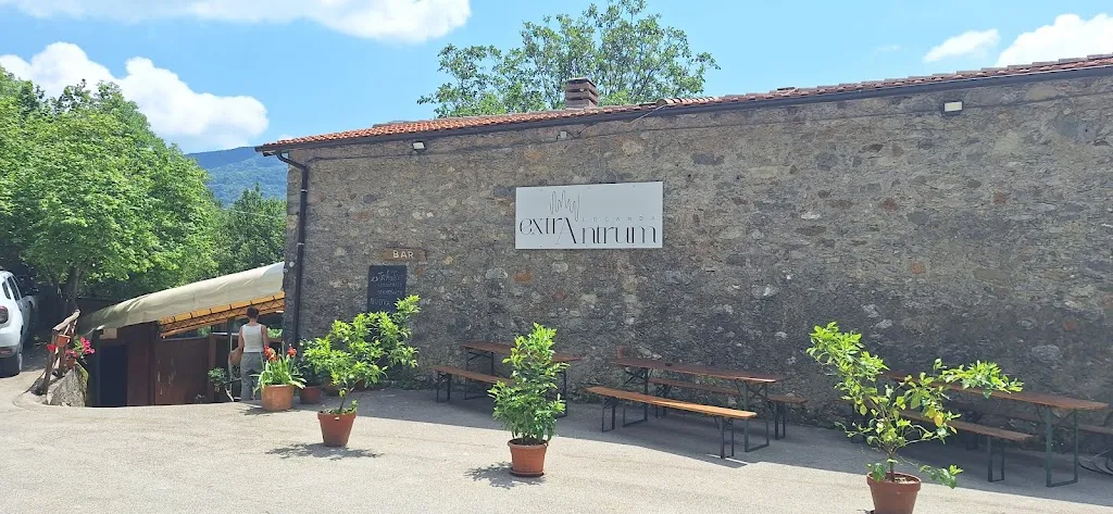 Owen Kieran Ward_extrAntrum_Fabbriche di Vallico_review