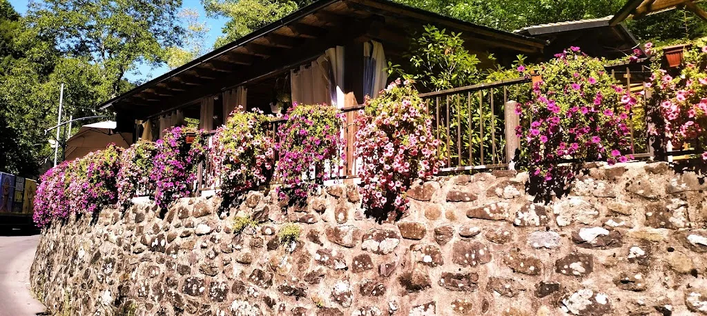 L'antico molino di Fabbriche di Vallico_Fabbriche di Vallico_slider_image_2