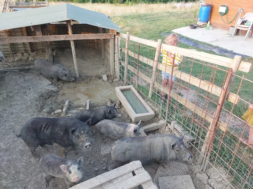 Pieter Beunder_Az. Agrituristica Poggio San Piero_Foiano della Chiana_review