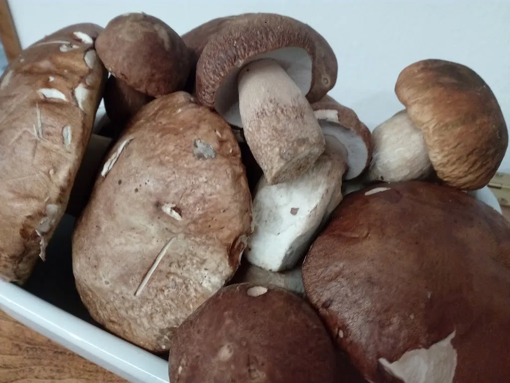 Menu_Ristorante Rosticceria da Paolo e Alba_Firenzuola_image_9